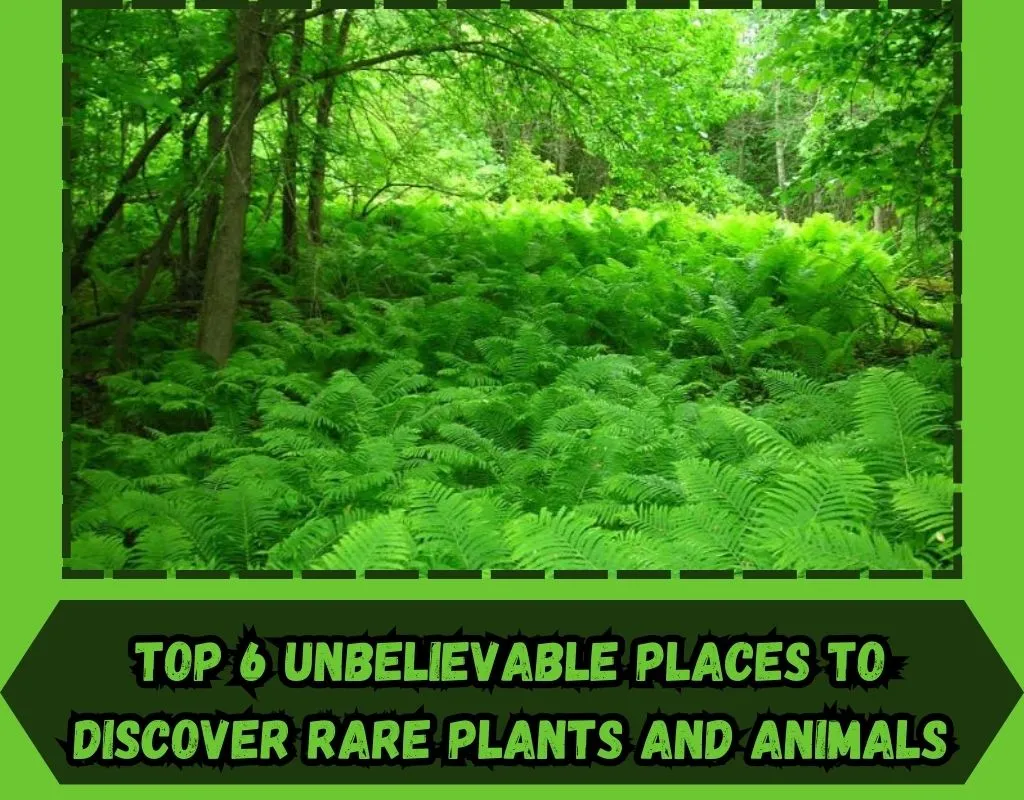 Top 6 Unbelievable Places to Discover Rare Plants and Animals!